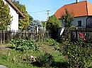 Třibřichy